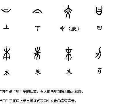 八 指事|指事字:簡介,指事字的類型,指事字的特點,四大造字法,